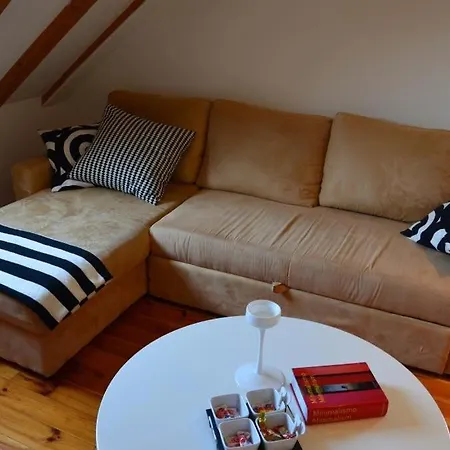 Brautovic Apartment