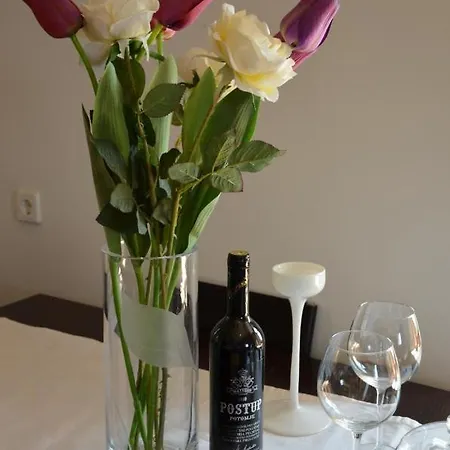 Apartment Brautovic *