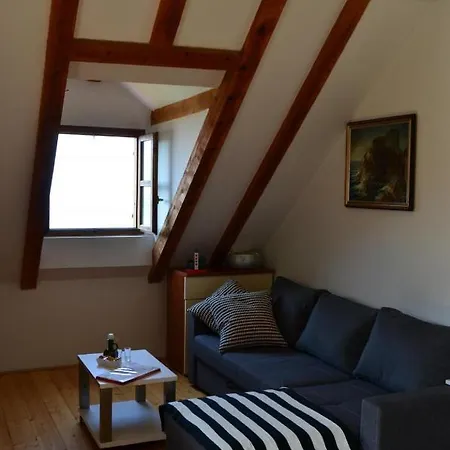 Apartamento Brautovic *